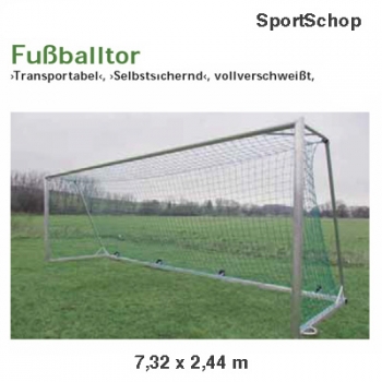 Fussballtor selbstsichernd vollverschweißt, 1Stück, Tortiefe 2,00 m, Art.-Nr: H114